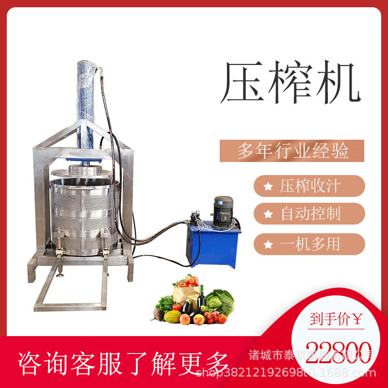 豆腐干压榨机李子果脯挤压脱水机中药药渣压汁机立式蔬菜挤水机