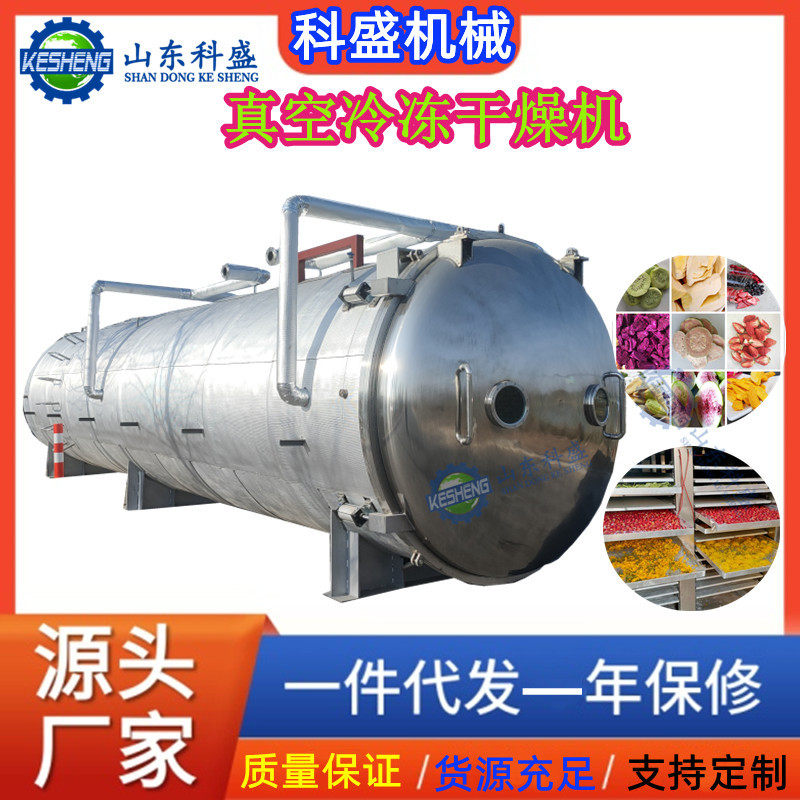 全自动真空冻干机 FD真空蔬菜冻干设备 面膜真空冷冻干燥机