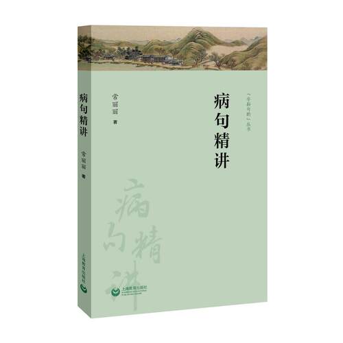 病句精讲 字斟句酌丛书