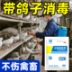 鸽子专用消毒液鸡鸭鹅消毒过硫酸氢钾消毒剂鸽舍消毒鸽子笼消毒液