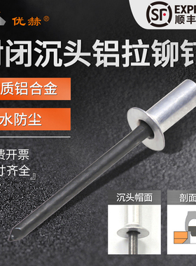 封闭型抽芯铆钉沉头铝 GB12616.1沉头拉钉平头闭口铆钉防水拉铆钉