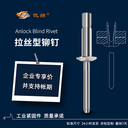 拉丝铆钉碳钢铝合金304不锈钢口杯型拉钉内锁外锁拉丝抽芯铆钉