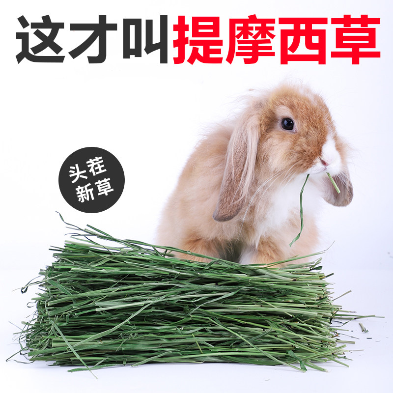 新草提摩西草段兔子专用荷兰猪烘干提木西草干草兔粮饲料粮食牧草