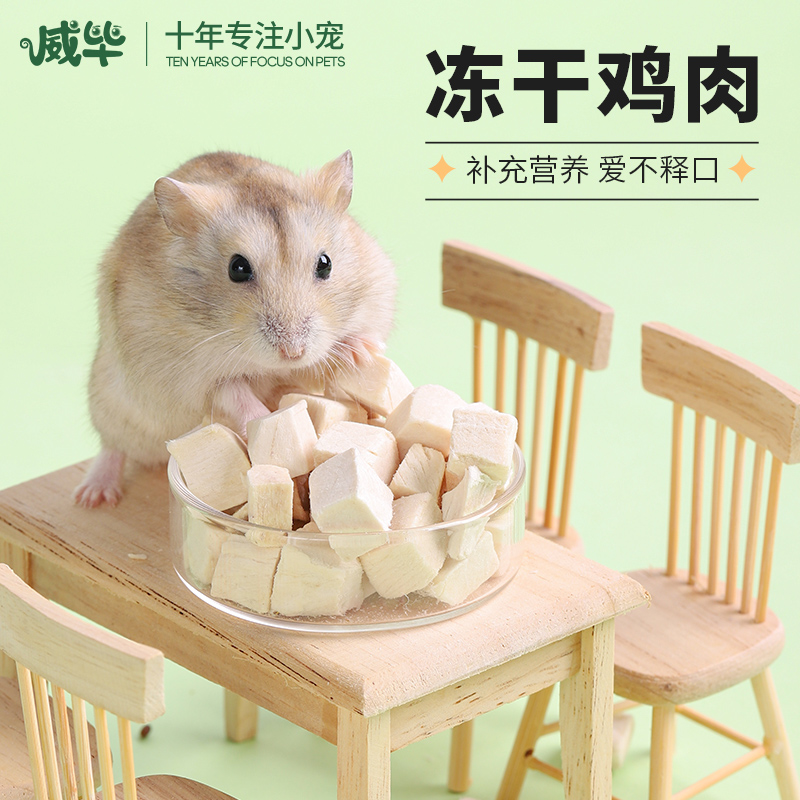 低温冻干营养丰富互动神器