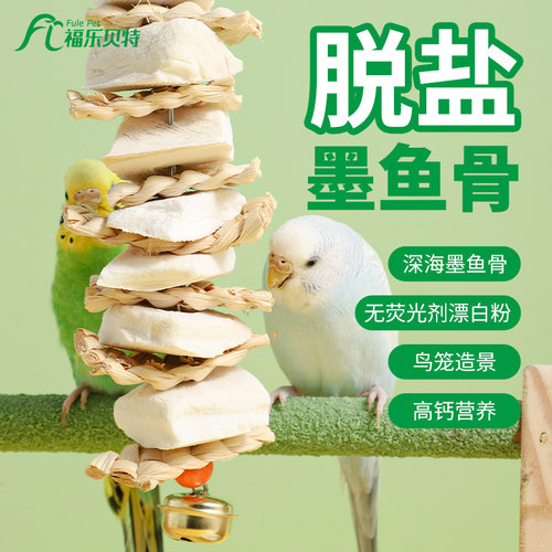 鹦鹉鸟用墨鱼骨啃咬串