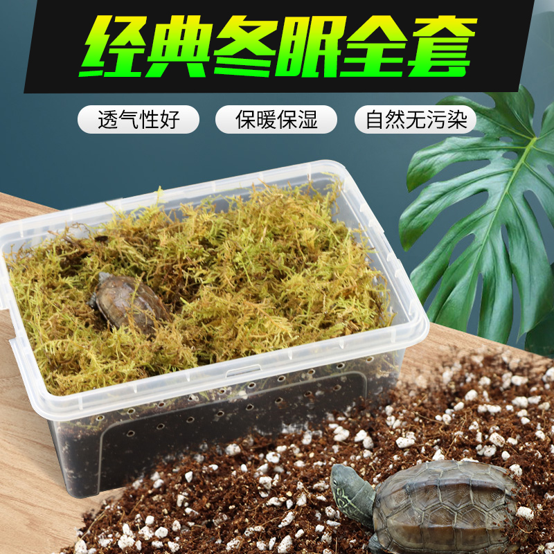 经典乌龟冬眠用品专用套装
