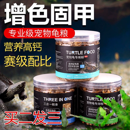 Главная черепаха с черепахой