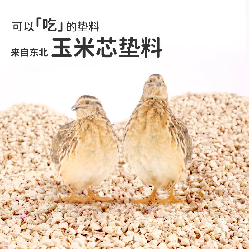 干爽透气大颗粒防误食