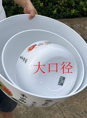 荷花盆无孔水培绿植睡莲盆栽特大塑料圆形加厚仿陶瓷树脂加厚花盆