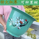 大号绿萝阳台小盆栽育苗盆 耐用圆形塑料加厚仿青花瓷花盆环保月季
