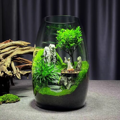 创意圆形玻璃鱼缸微景观生态瓶