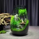 创意圆形玻璃鱼缸微景观生态瓶办公室桌面摆件养鱼绿植盆景生态瓶
