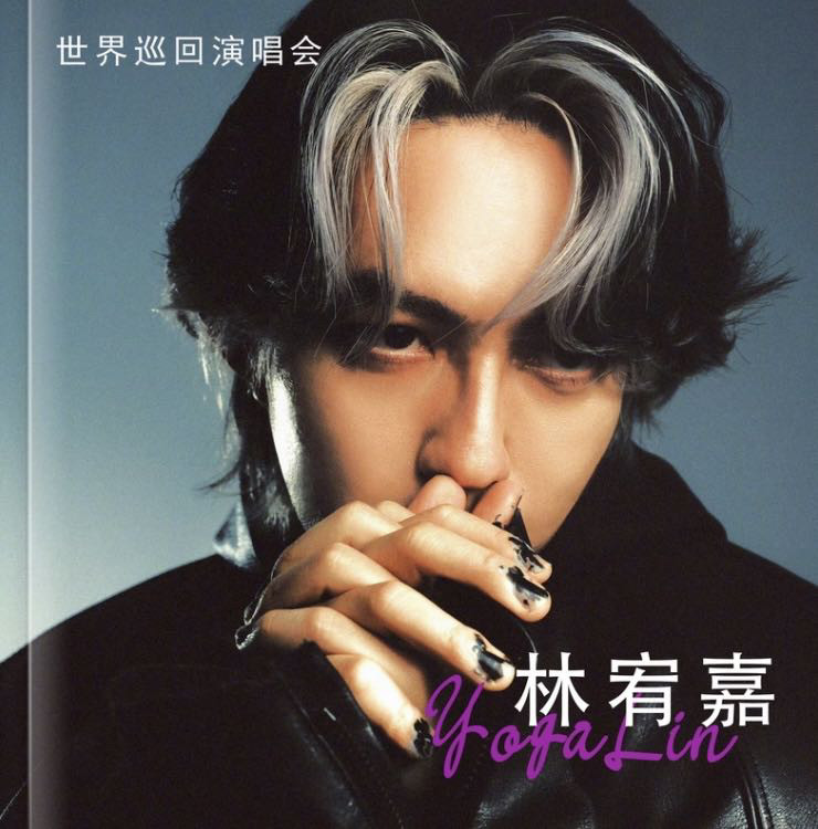 林宥嘉60首歌词本写真集杂志册相册/相簿