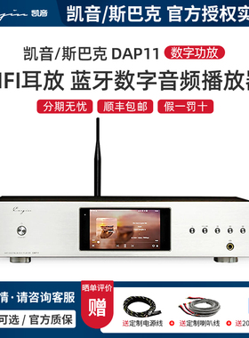 Cayin/凯音/斯巴克DAP11 耳放 数字功放高保真安卓蓝牙音频播放器