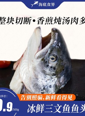冷冻发货三文鱼鱼碎肉鱼鳍鱼尾鱼腩条鱼皮大西洋鲑鱼香煎炖汤