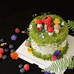 网红森系花园卡通小蘑菇房蛋糕装饰摆件春游踏青蘑菇甜品装扮配件