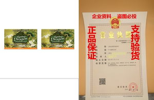 Dragon Herbs Spring Dragon Longevity Tea, 20 Tea Bags (Pack