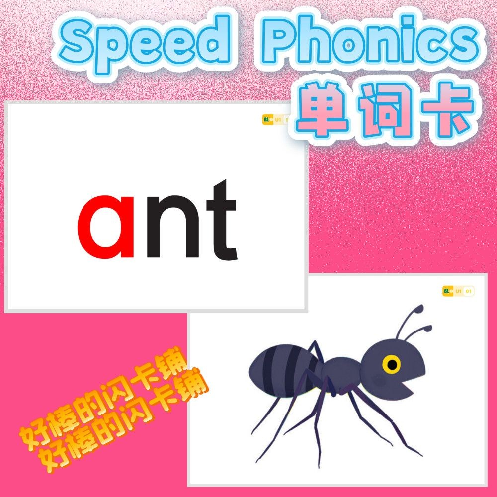 Speed Phonics自然拼读闪卡塑封英语启蒙教师教具卡片英文学习