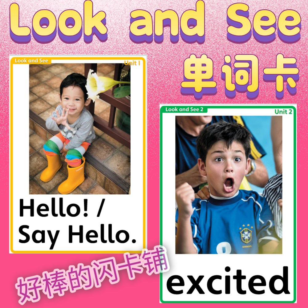 Look and See看世界英语单词卡片闪卡教具儿童英语学习启蒙教具