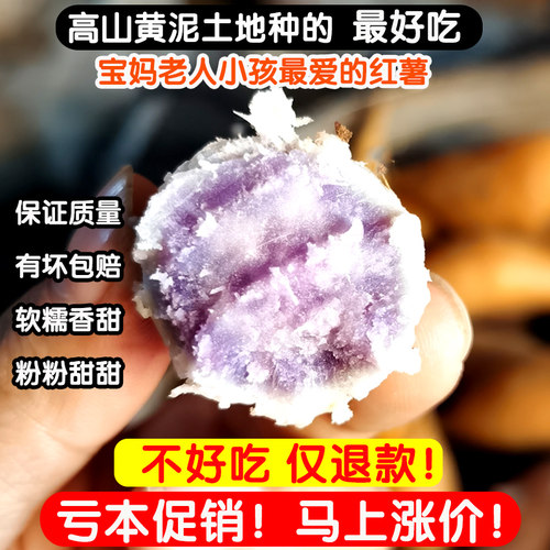 贵州紫山芋农家自种番薯