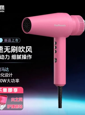 火之凤吹风机M1理发店专用发型师