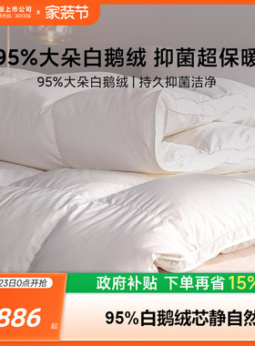 8H羽绒被95白鹅绒冬被被子双人羽绒被加厚保暖被子酒店抑菌被芯