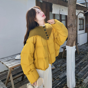 2C221-F199-P335K498 【已出货】新标90绒羽绒服图片