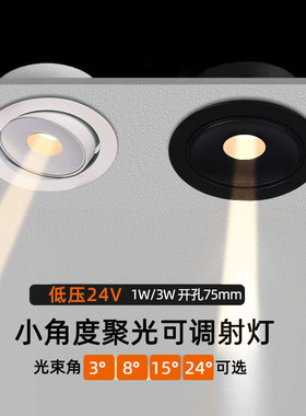 24V伏低压小角度聚光射灯led嵌入式1W3W开孔75mm博物馆茶室氛围灯