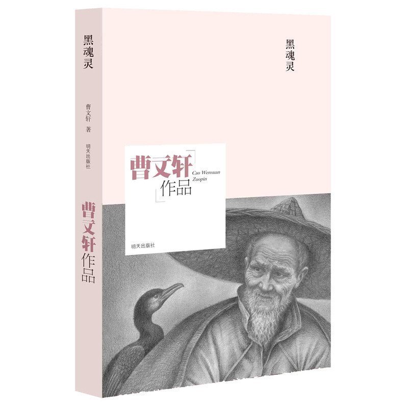 正版 黑魂灵 国际安徒生奖得主 曹文轩作品中短篇小说精品集 枫林渡草房子青铜葵花后作品 中国儿童文学 校园成长励志小说