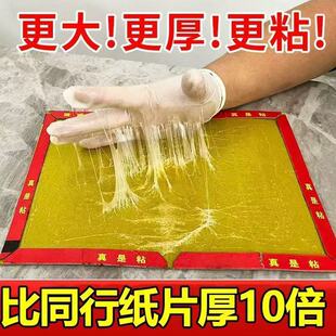 老鼠贴强力粘鼠板超强家用粘大老鼠灭鼠一窝端捕鼠室内厨房仓库