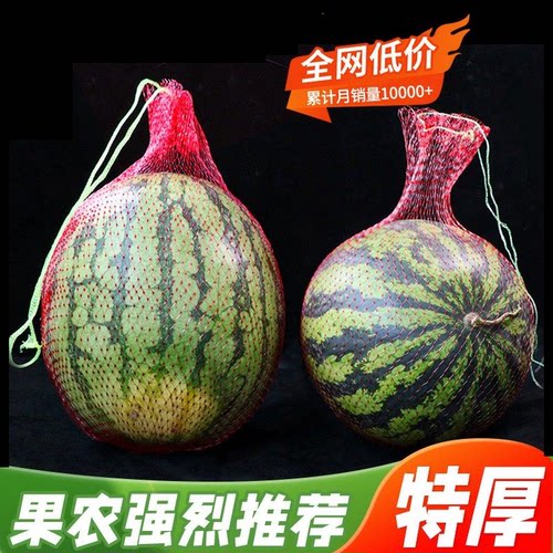 加厚手提网袋网兜大棚吊西瓜
