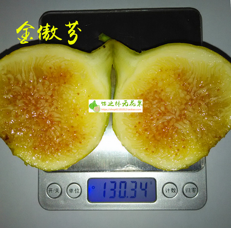 饴之林 金傲芬无花果树苗 美丽亚 金奥芬盆栽地栽苗当年结果在类目 鲜花速递/花卉仿真/绿植园艺, 花园植物/行道树/果树, 果树中 - 来自Buy2taobao.com提供专业的淘宝代购服务