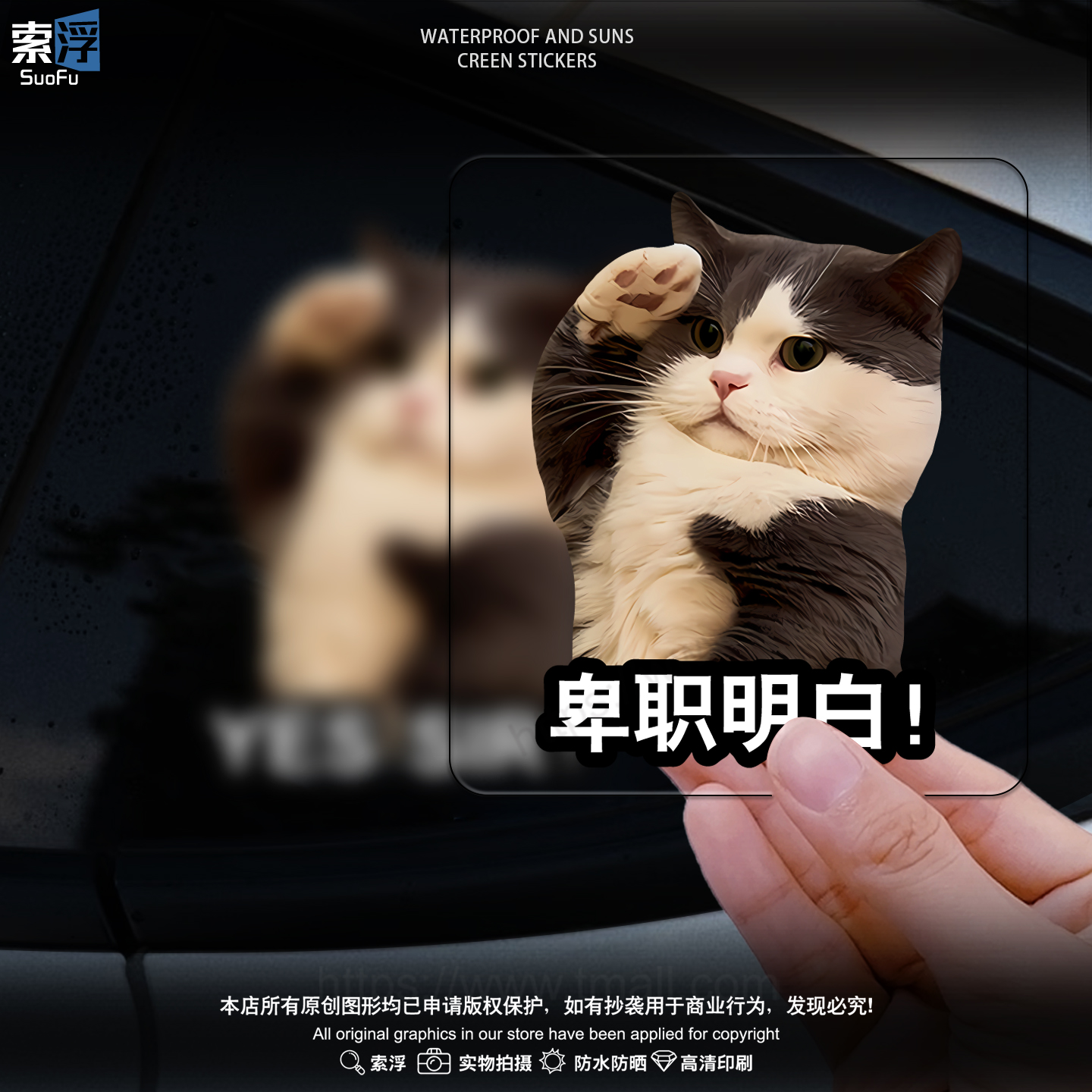 可爱搞笑迷因MEME猫猫咪惊讶表情个性创意车贴电动车摩托装饰贴画图片
