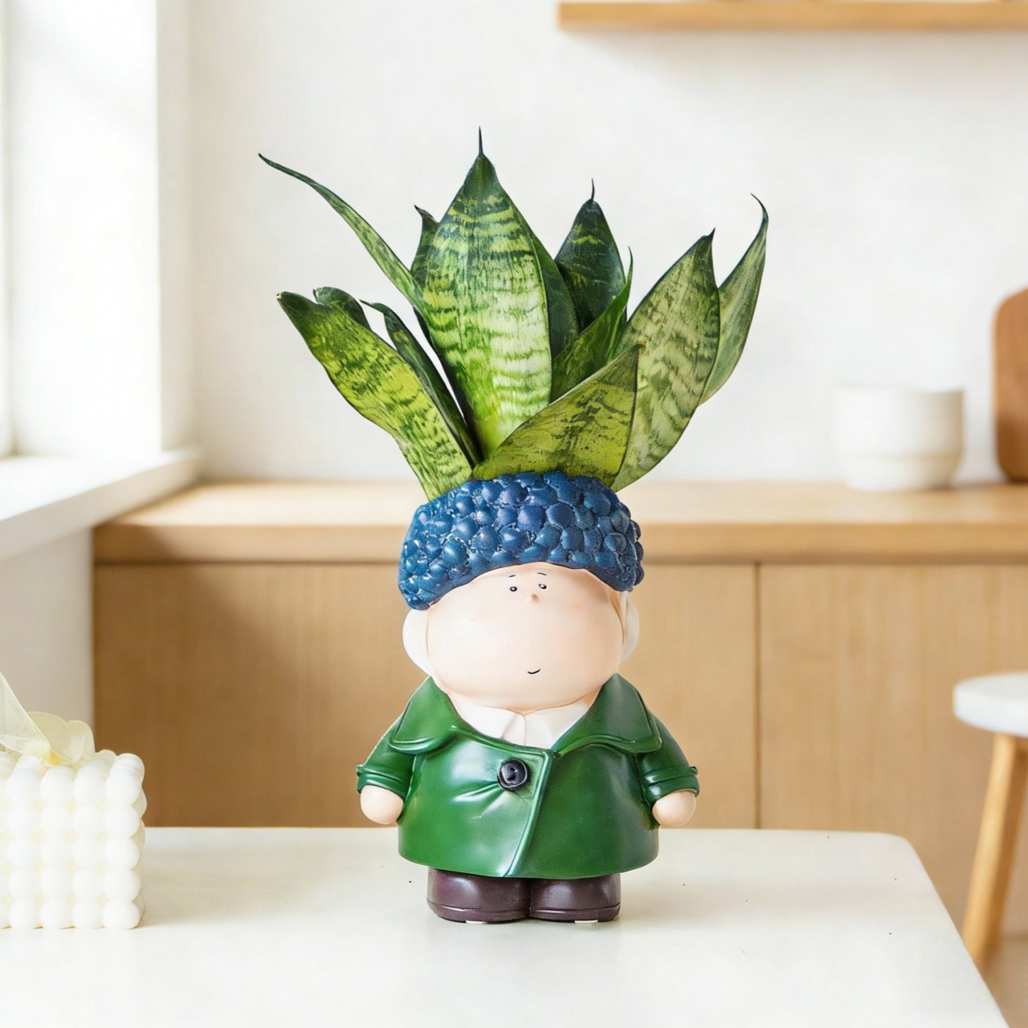 富贵虎皮兰室内好养绿植盆栽办公室桌面懒人植物摆件创意趣味礼物