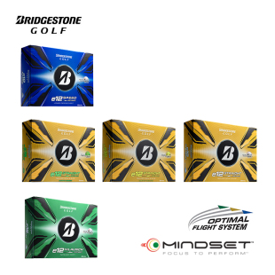 普利司通Bridgestone高尔夫球e12系列高尔夫三层球直线距离款新球