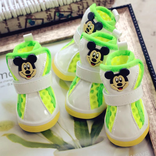 不掉泰迪夏季网眼透气