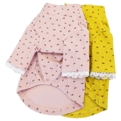 灰泰迪博美宠物秋季四脚潮牌比熊