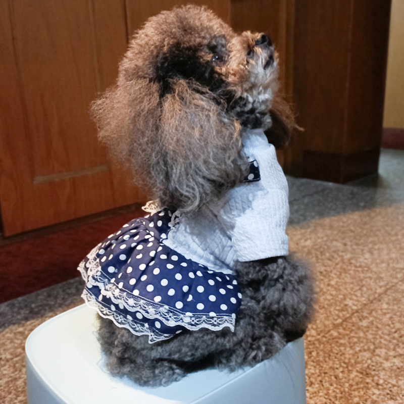 泰迪狗狗衣服薄款可爱背带裙子小奶狗可爱比熊小型犬夏天夏季衣服