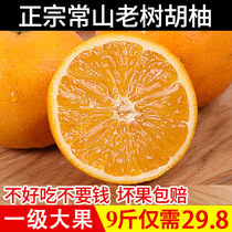 Genuine Changshan Huyou, 9 Jin, parcel post, fresh fruit, grapefruit of the current season 10 spot, Changshan Wuyou, non grapefruit, grapefruit 20