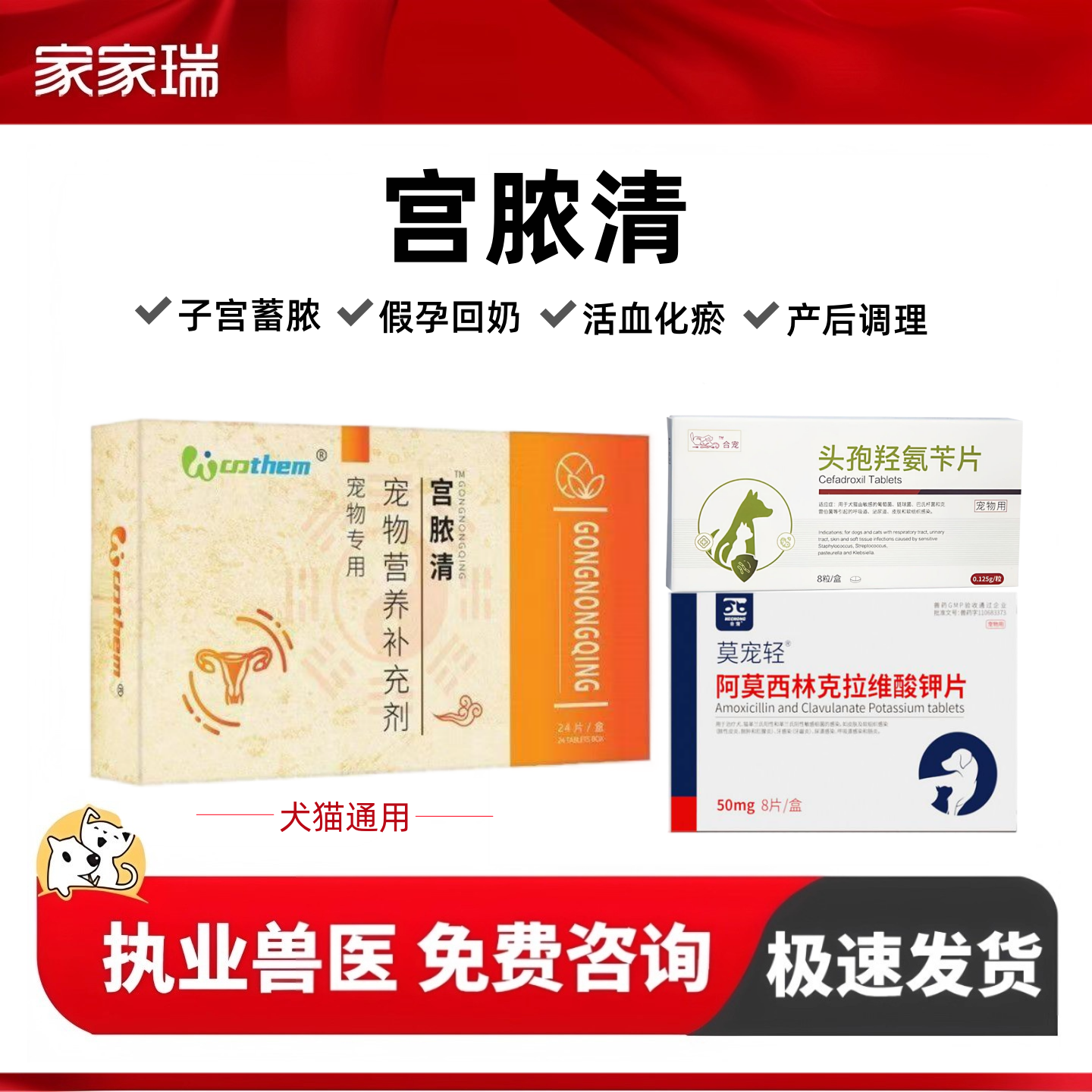 宫脓清宠物狗狗猫咪子宫蓄脓回奶感染内膜炎子宫积液恶露流血假孕