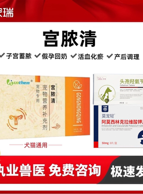 宫脓清宠物狗狗猫咪子宫蓄脓回奶感染内膜炎子宫积液恶露流血假孕