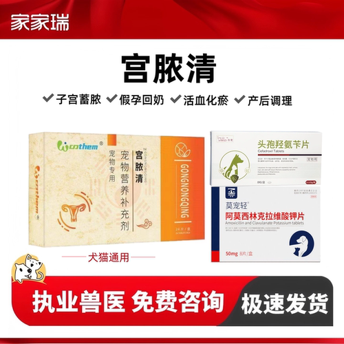 宫脓清宠物狗狗猫咪子宫蓄脓回奶感染内膜炎子宫积液恶露流血假孕