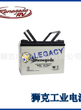 美国LIFELINE蓄电池GPL-4DL深循环动力12V210AH柴油发电机救生艇