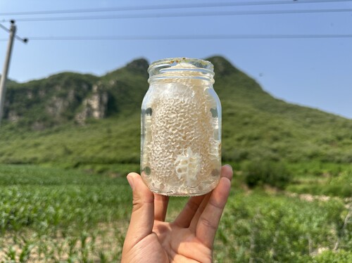 蜂农小姜无加工   蜂巢蜜，紫穗槐蜜，脐橙蜜，五倍子蜜，槐花蜜
