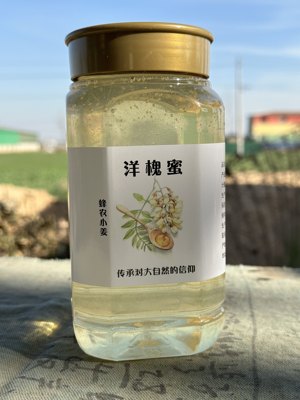 蜂农小姜蜂蜜无加工 1000g×1广口瓶 槐花蜜枣花蜜荆条蜜五倍子蜜