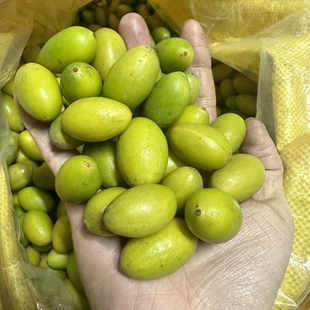 潮汕特产凌峰橄榄生吃甘香酸甜潮汕新鲜水果现摘现发一斤包邮