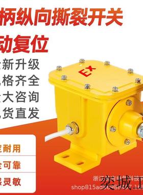 ZLK-I-II 防爆型纵向撕裂开关HFZL-B防撕裂闭锁检测器SCPT-200-40