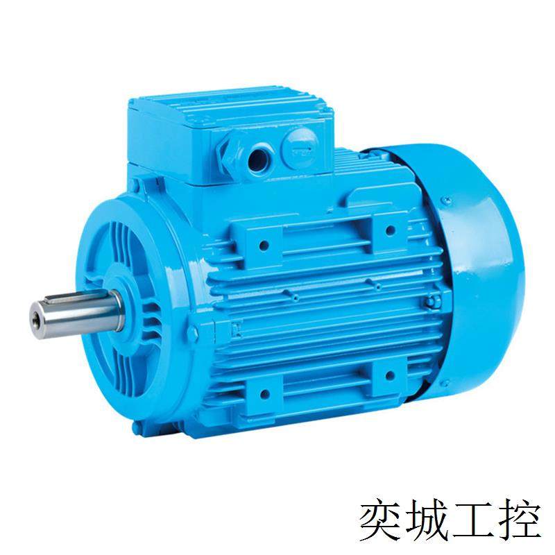 土耳其标准电机2EL063M2A 减速机 马达