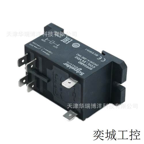 RPF功率型继电器RPF2ABD继电器2常开24VDC插入式30A继电器