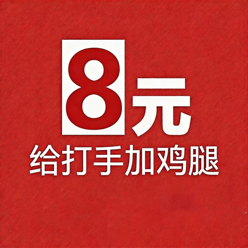 给打手加鸡腿！补差专用！拍前联系KF